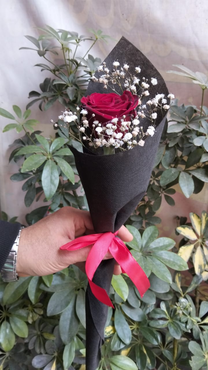 Красивая роза для особенной девушки